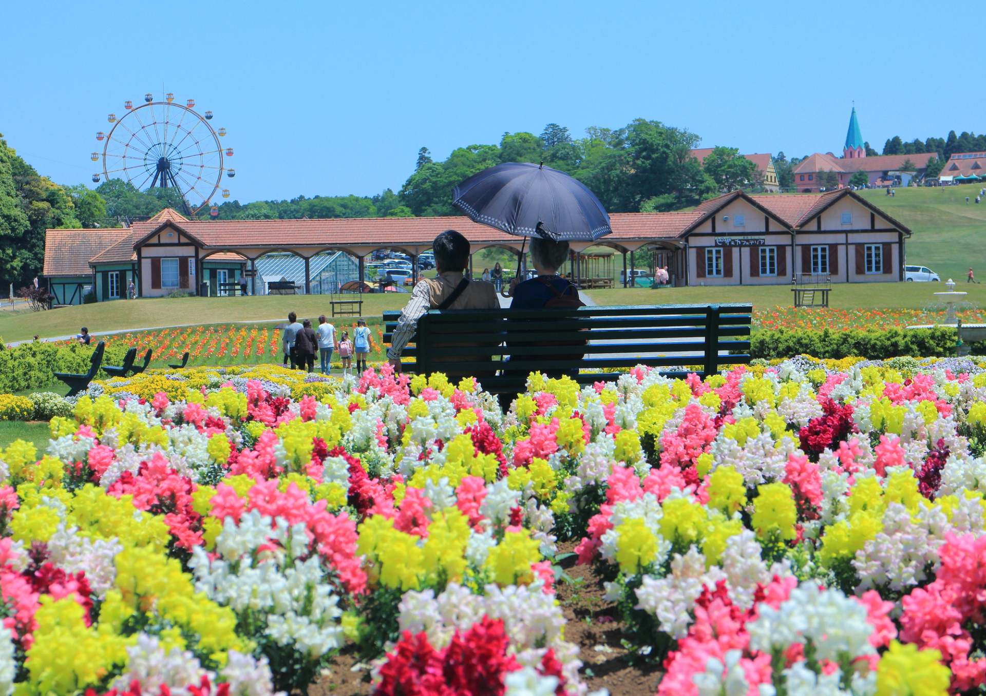 从东京如何前往东京德国村？