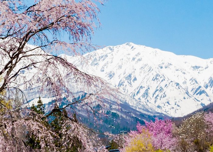 如何从东京前往滑雪度假胜地白马？