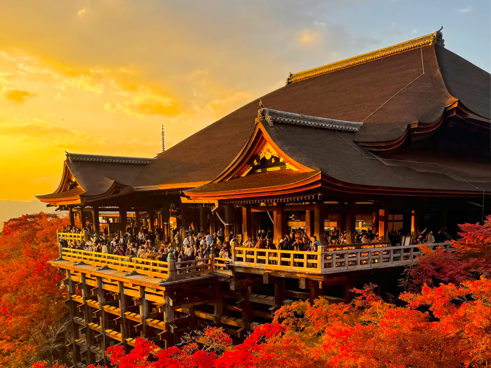 京都红叶！8个寺庙美景实况