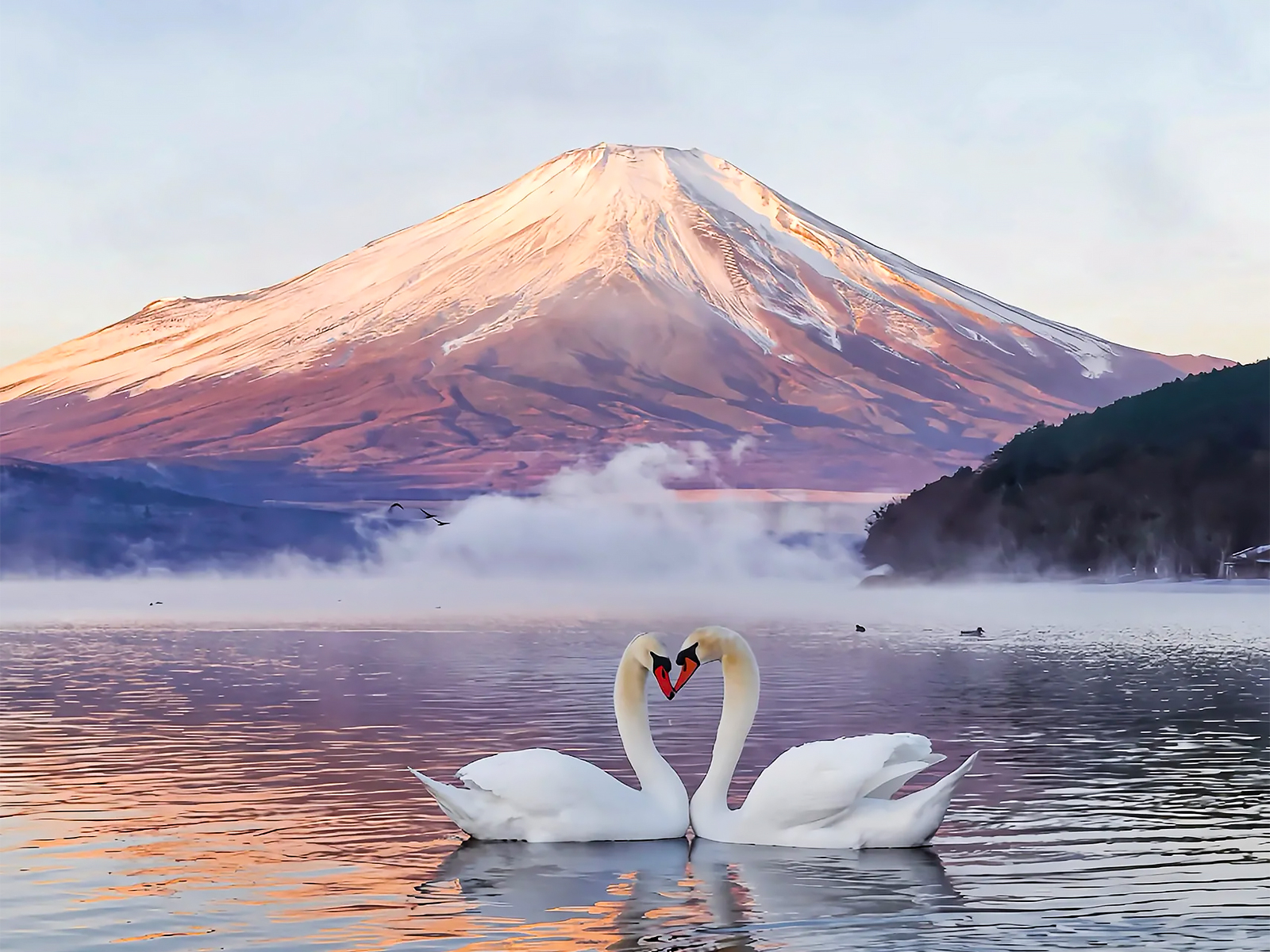 富士山冬日｜6个机位把雪山美到骨子里