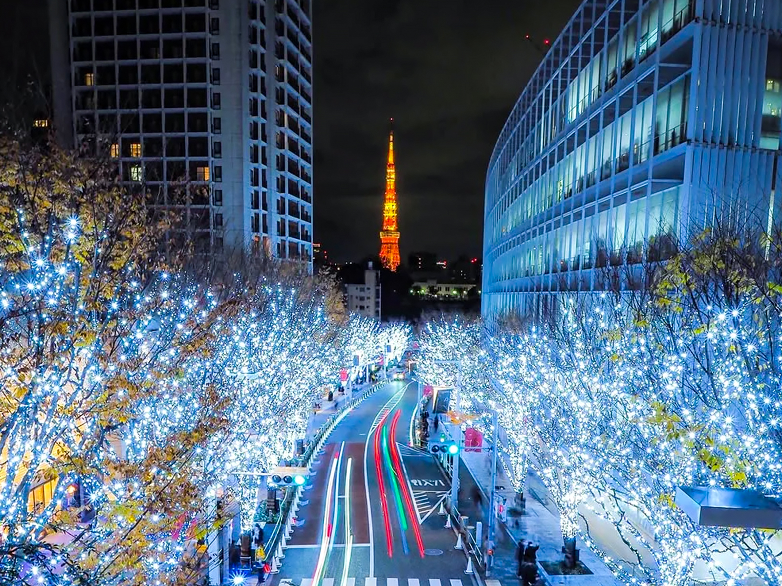 东京圣诞季 | 8个神仙活动把浪漫焊在冬天里