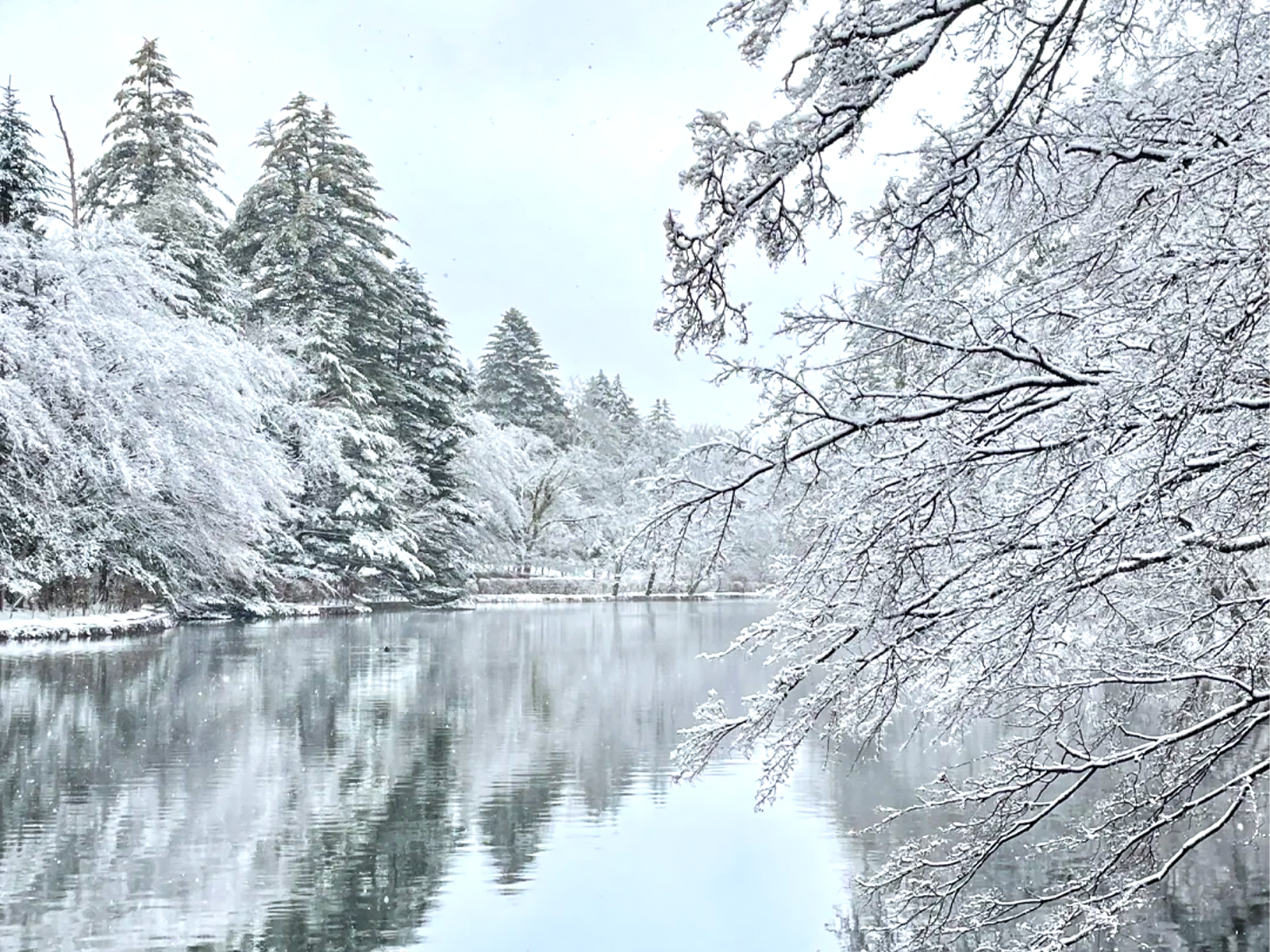 轻井泽|《情书》里走出来的雪国童话