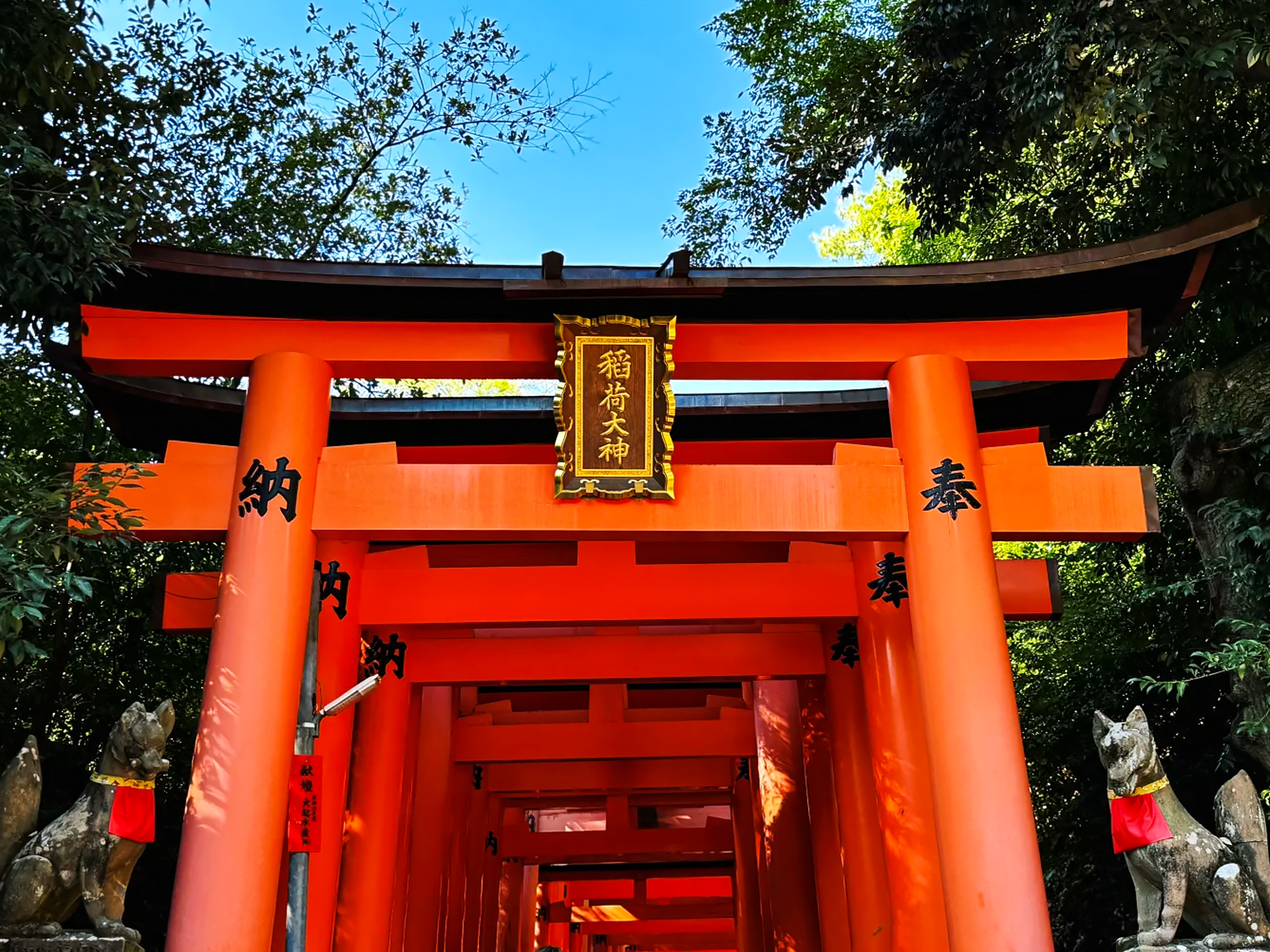 京都8间神仙神社｜求财求爱求学业