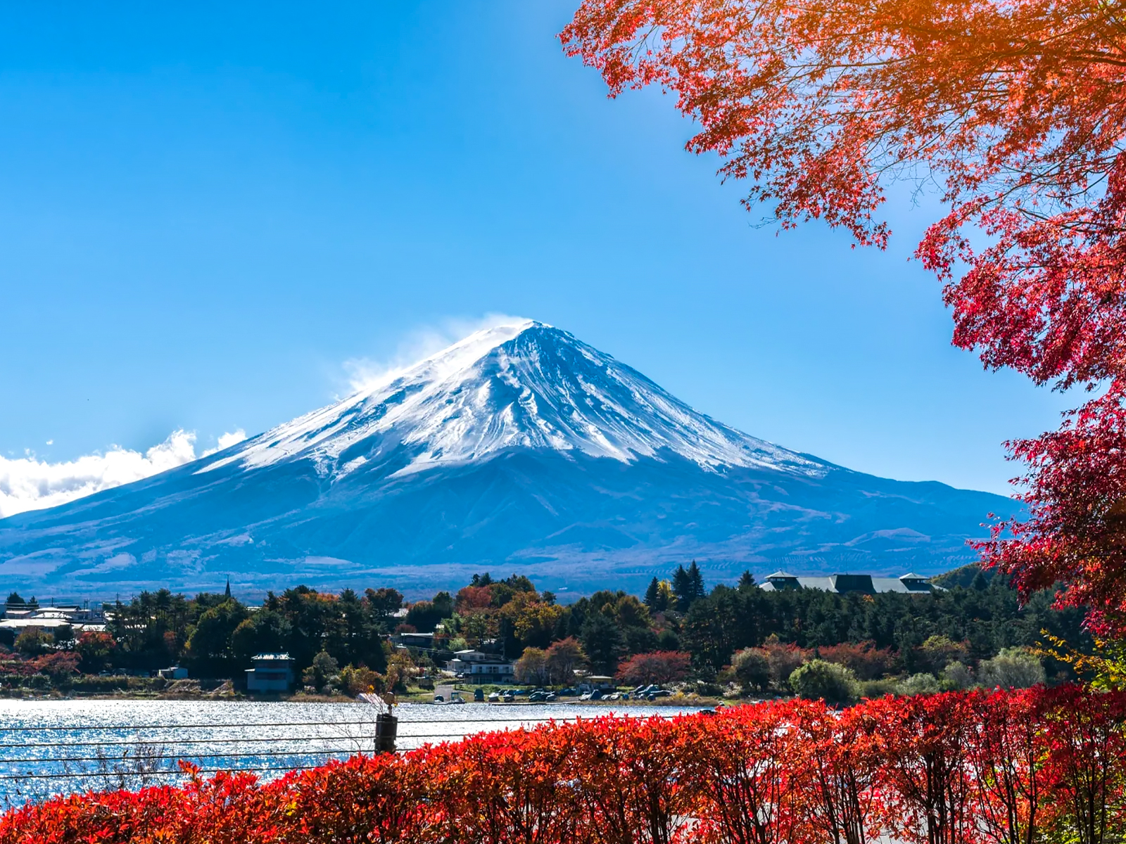 富士山环湖Citywalk｜保姆级攻略
