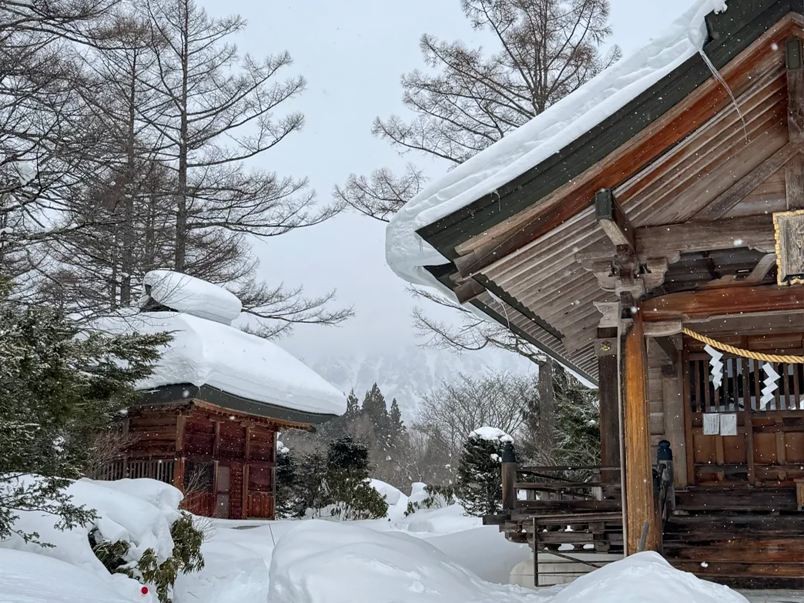 长野冬日封神！这篇攻略直接抄作业
